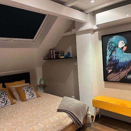 Charmant Duplex Privatise, Climatise, 2 Chambres Strasbourg Kültér fotó