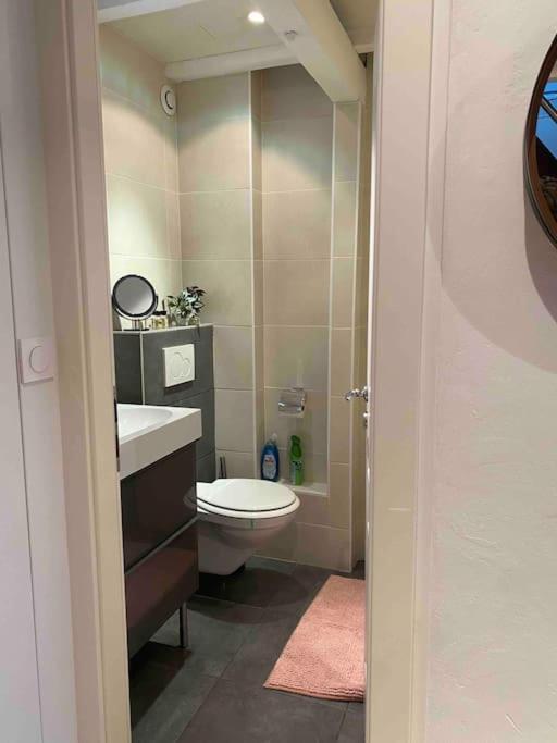 Charmant Duplex Privatise, Climatise, 2 Chambres Strasbourg Kültér fotó