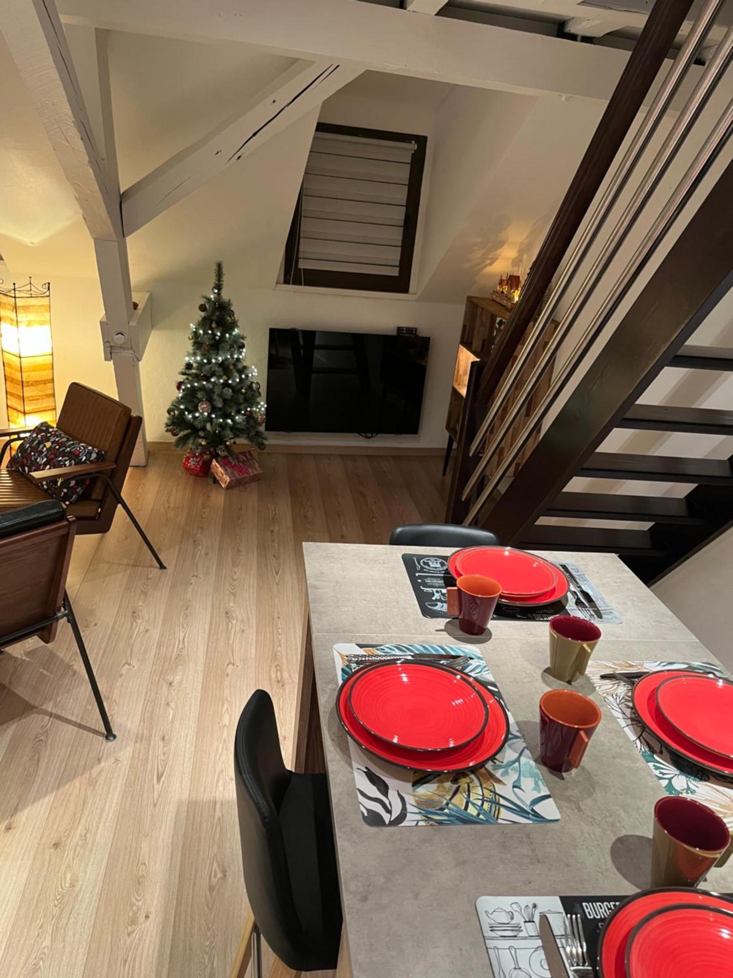 Charmant Duplex Privatise, Climatise, 2 Chambres Strasbourg Kültér fotó