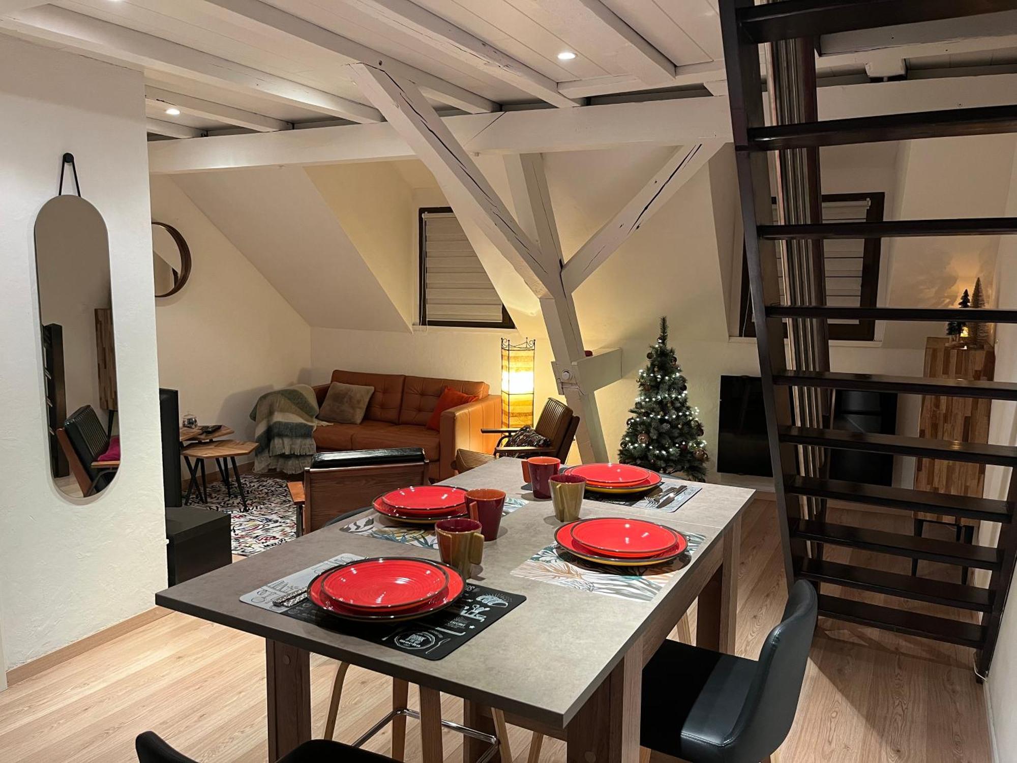 Charmant Duplex Privatise, Climatise, 2 Chambres Strasbourg Kültér fotó